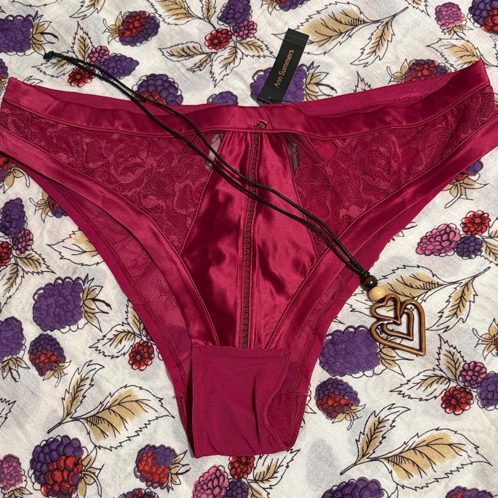Luxurious Lace Wine Panties